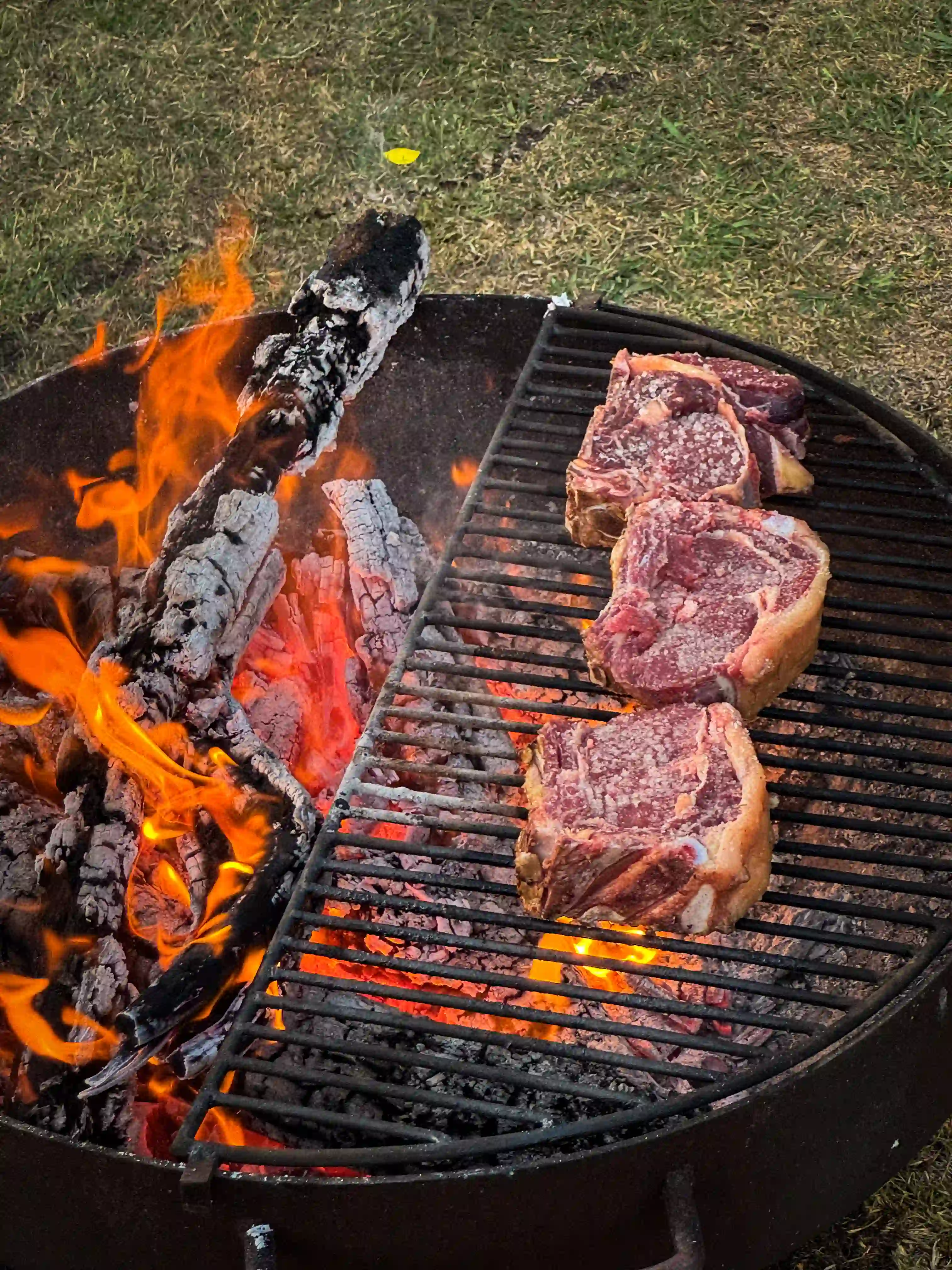 Cortes de La Estancia cocinándose sobre una parrilla junto al fuego